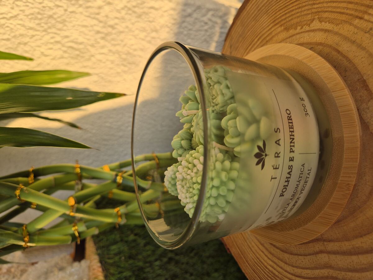 Vela aromática TÉRAS Folhas e Pinheiro